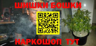 гидра Моздок