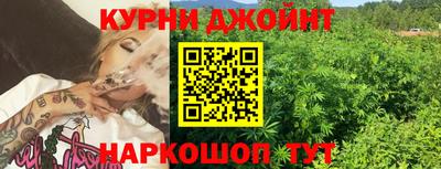 гидра Моздок