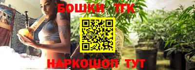 сатива Можга